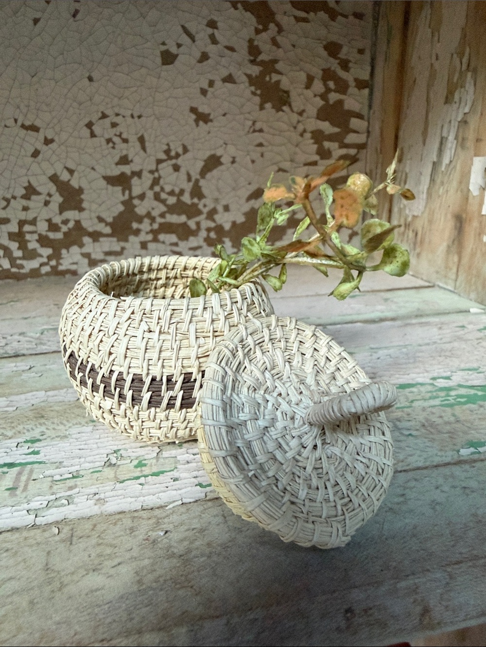 🌿Mini Handwoven Natural and Brown Decorative Lidded Basket